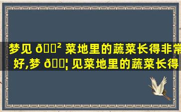 梦见 🌲 菜地里的蔬菜长得非常好,梦 🐦 见菜地里的蔬菜长得非常好什么意思